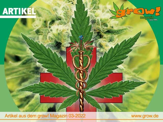 5 Jahre Cannabis Als Medizin