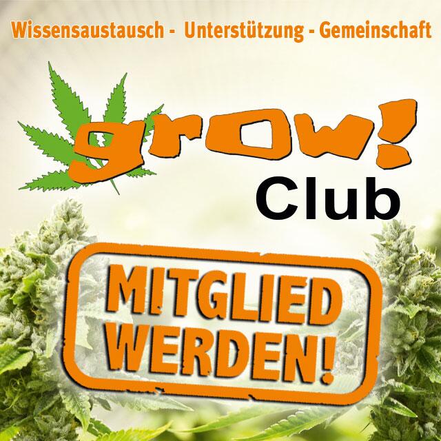 grow! Club